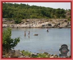 Ta det kallt - värmebölja på gång!