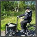 Mose